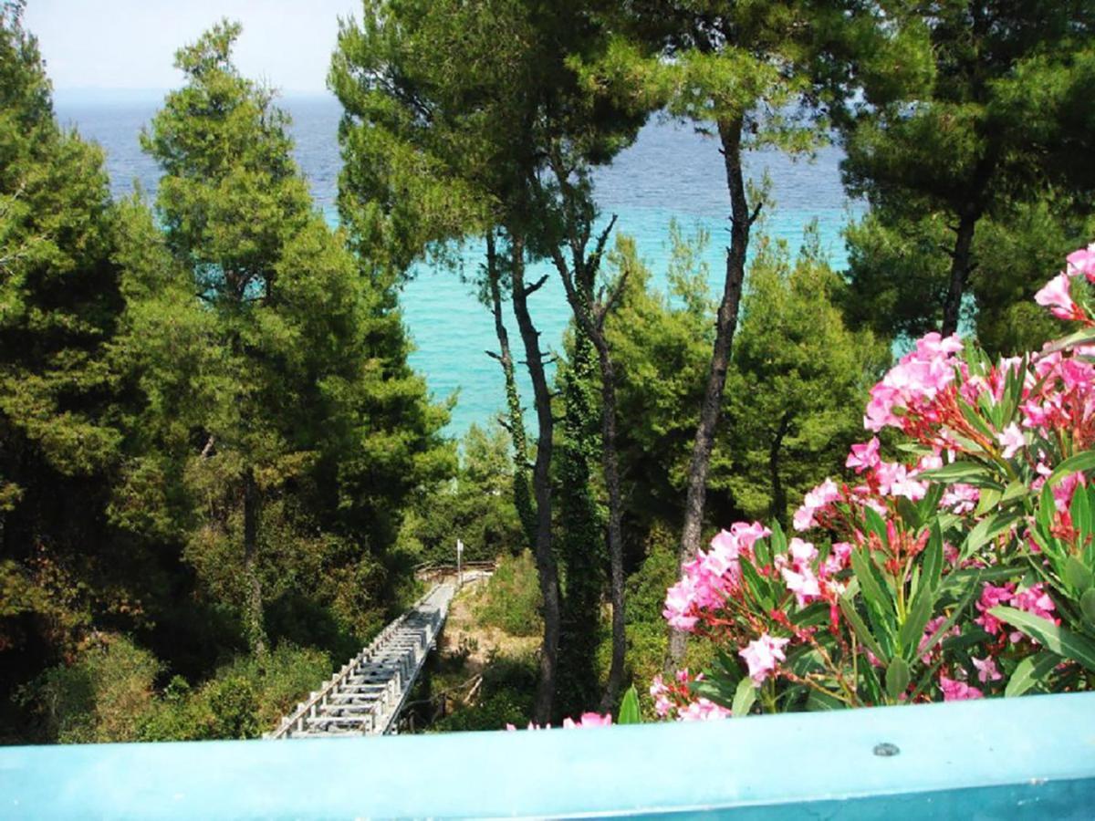 Porto Thea Alexandra Shared Pool Villa, Афитос Екстериор снимка